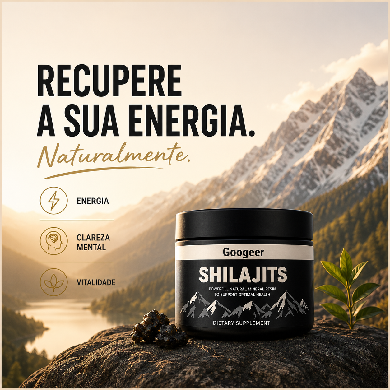 Shilajit 100% Puro